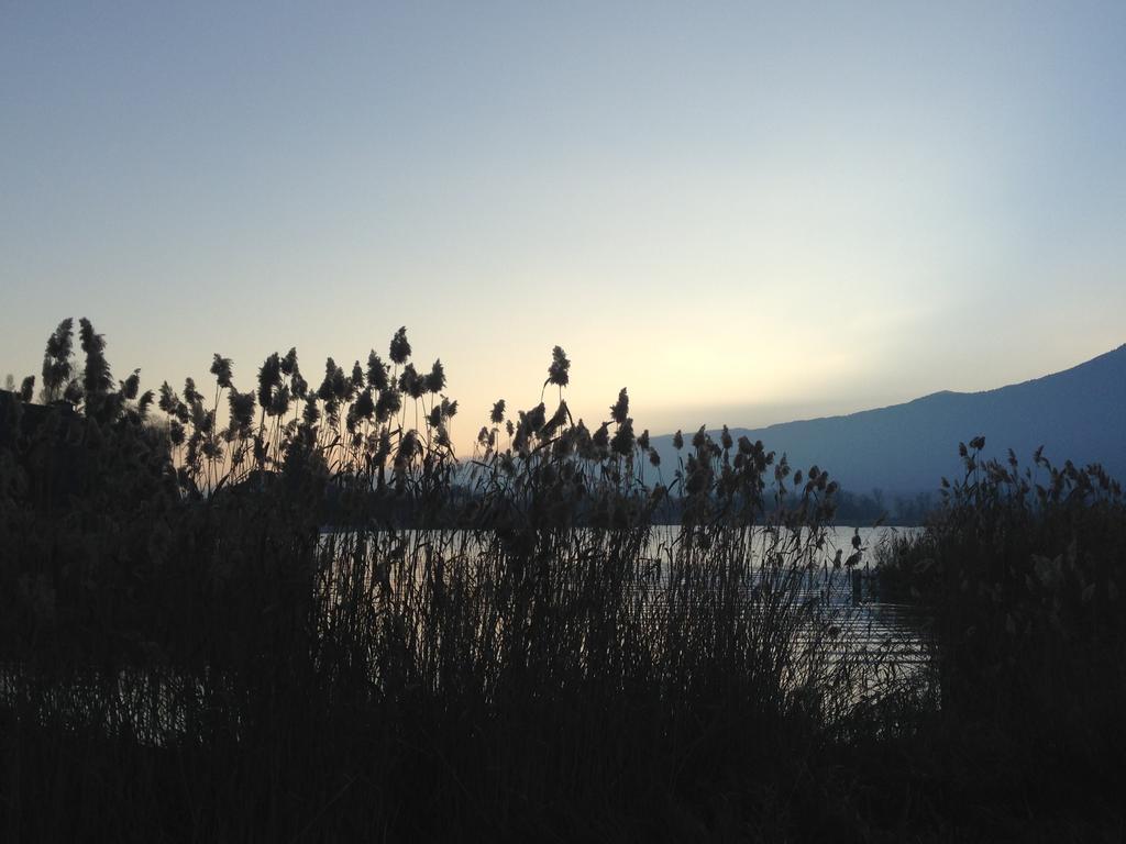 Noemys Viviers-Du-Lac Kültér fotó